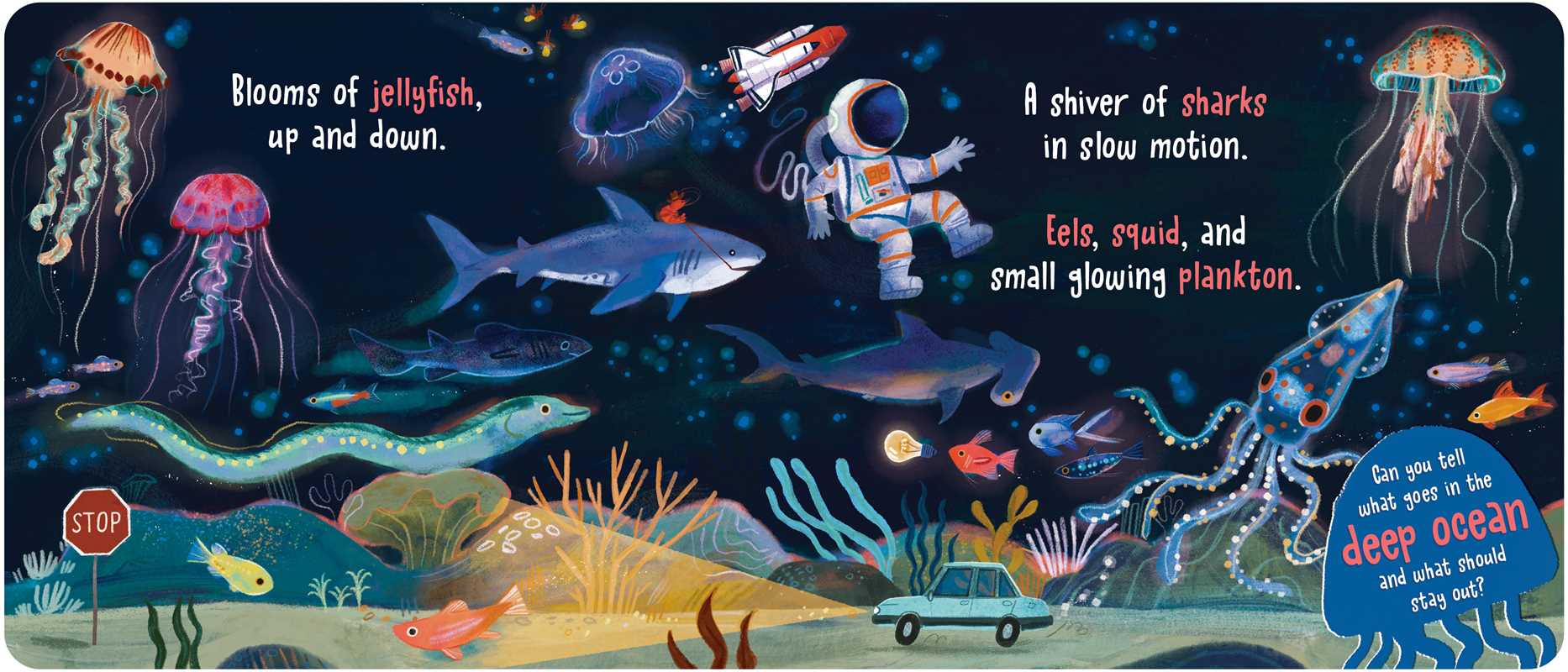 What Goes in the Ocean? by Dori Elys - Foxy’s