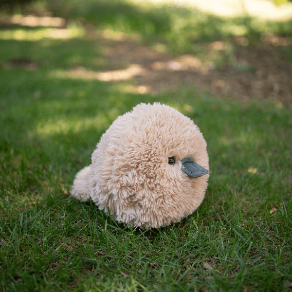 Soft Fluff Ball Fluffees Platypus Plushie - Foxy’s