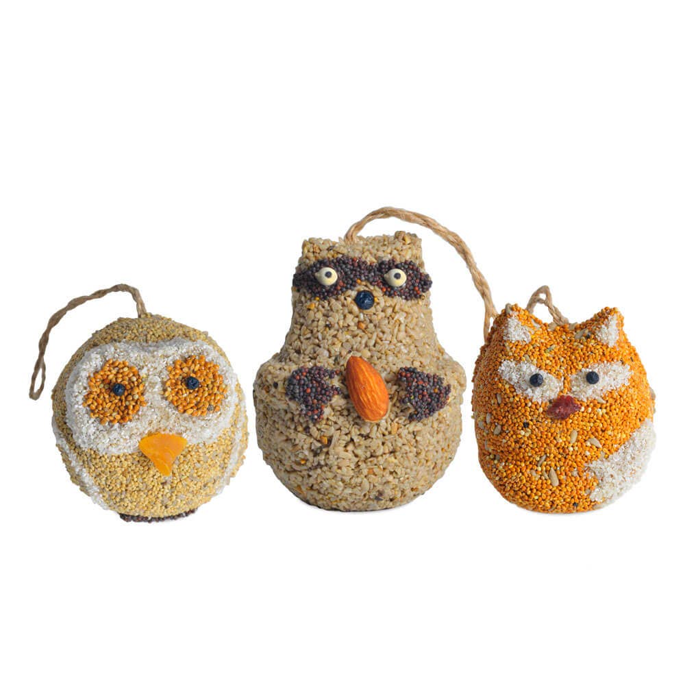 Mystery Woodland Friends Bird Treats - Foxy’s