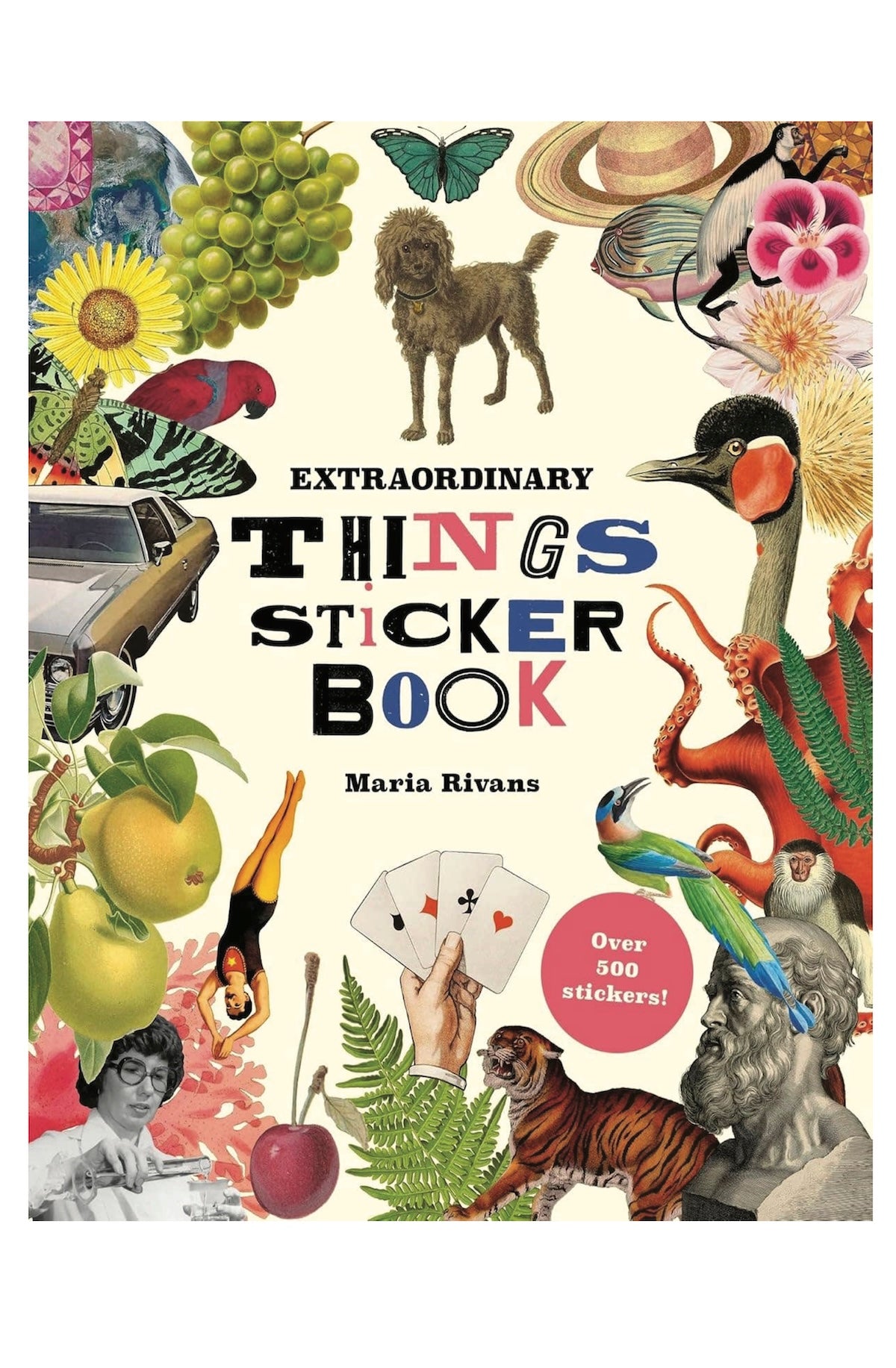 Extraordinary Things Sticker Book - Foxy’s