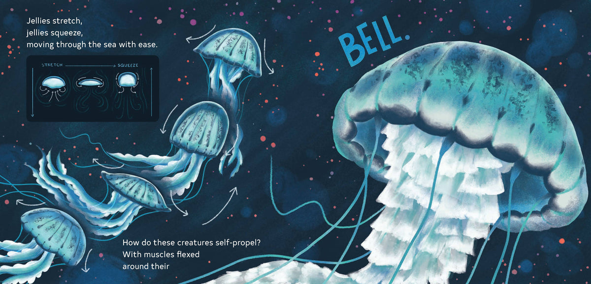 Secrets of the Jellies | Children's Book (For All Ages Alike)