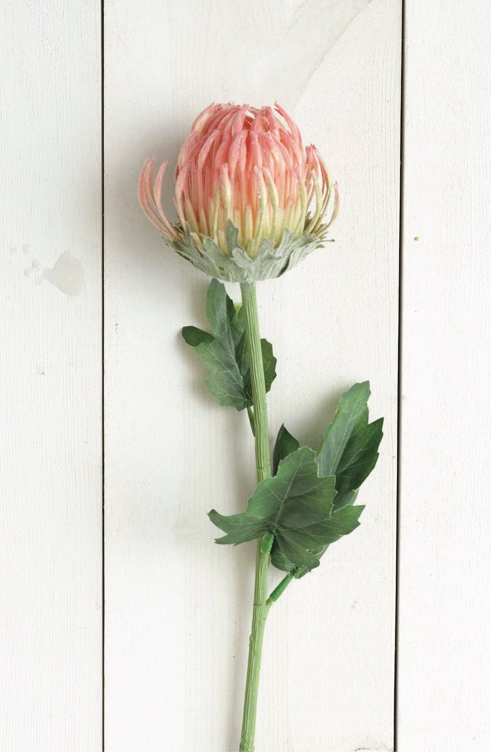 Faux Pick - Protea Pink Small - Foxy’s