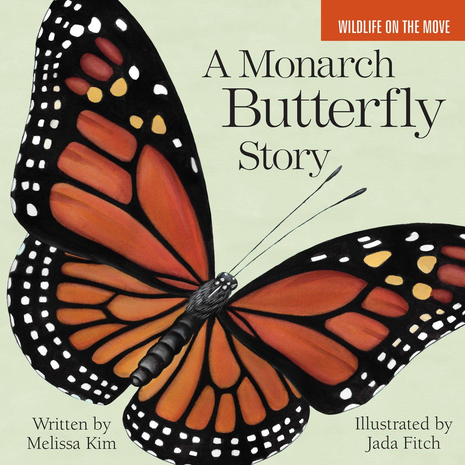 Monarch Butterfly Story - Foxy’s