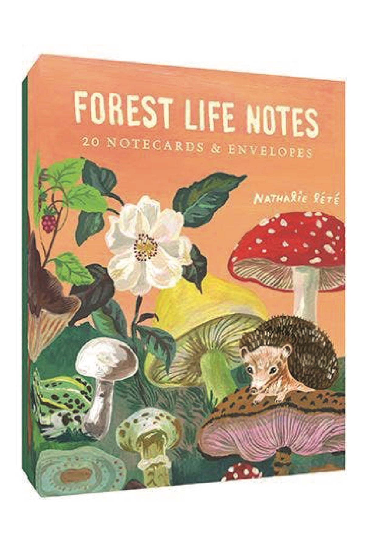 Forest Life Notes - Foxy’s