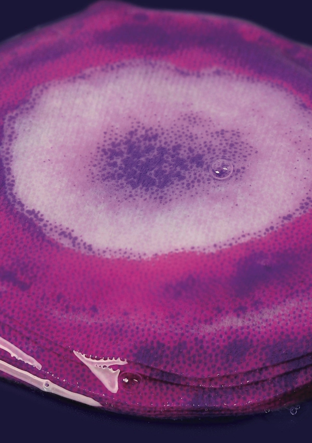 Amethyst Illuminating Eye Patches - Vitamin C & Butterfly Pea - 4 Pairs - Dark Circle Treatment - Foxy’s