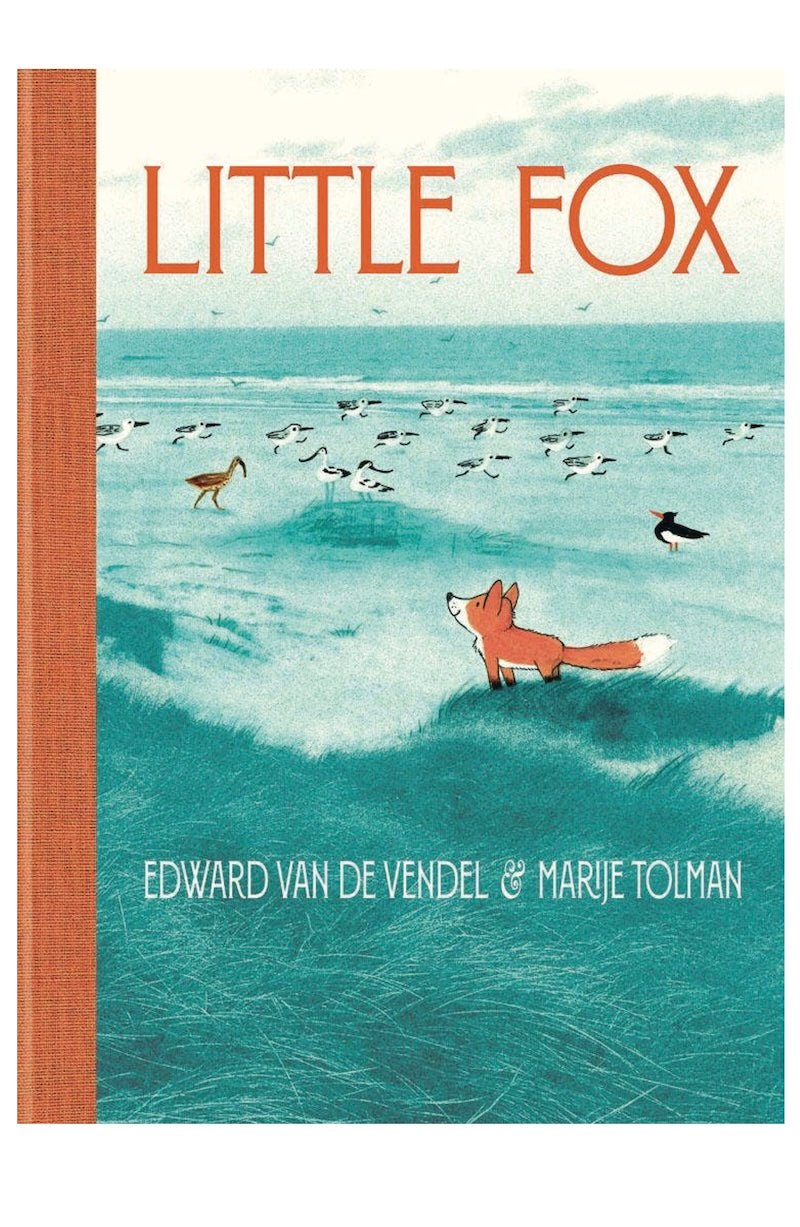 Little Fox Children's Book - A Whimsical Adventure Awaits! - Foxy’s