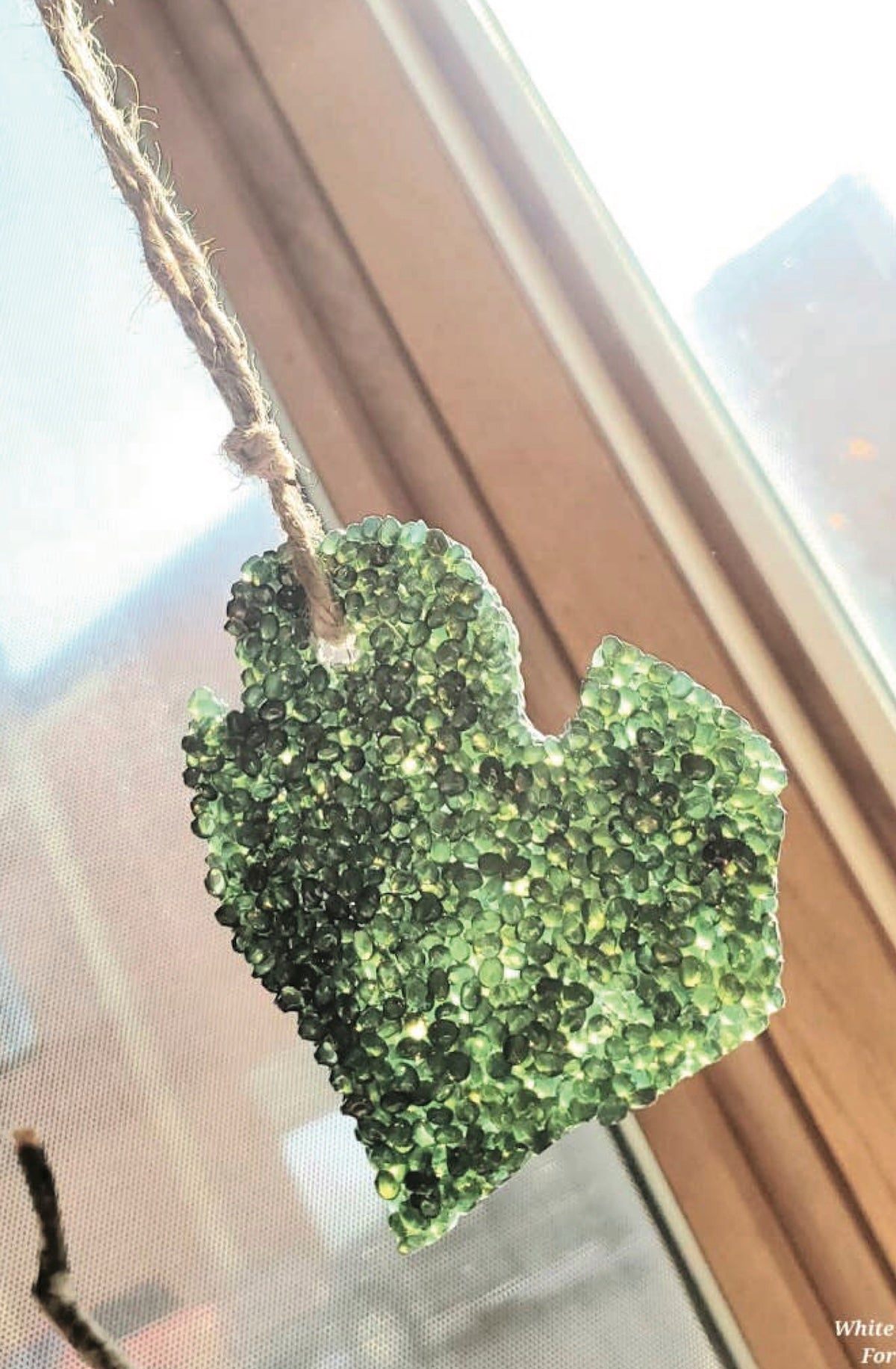 Hanging Air Freshener - White Birch Forest - Foxy’s