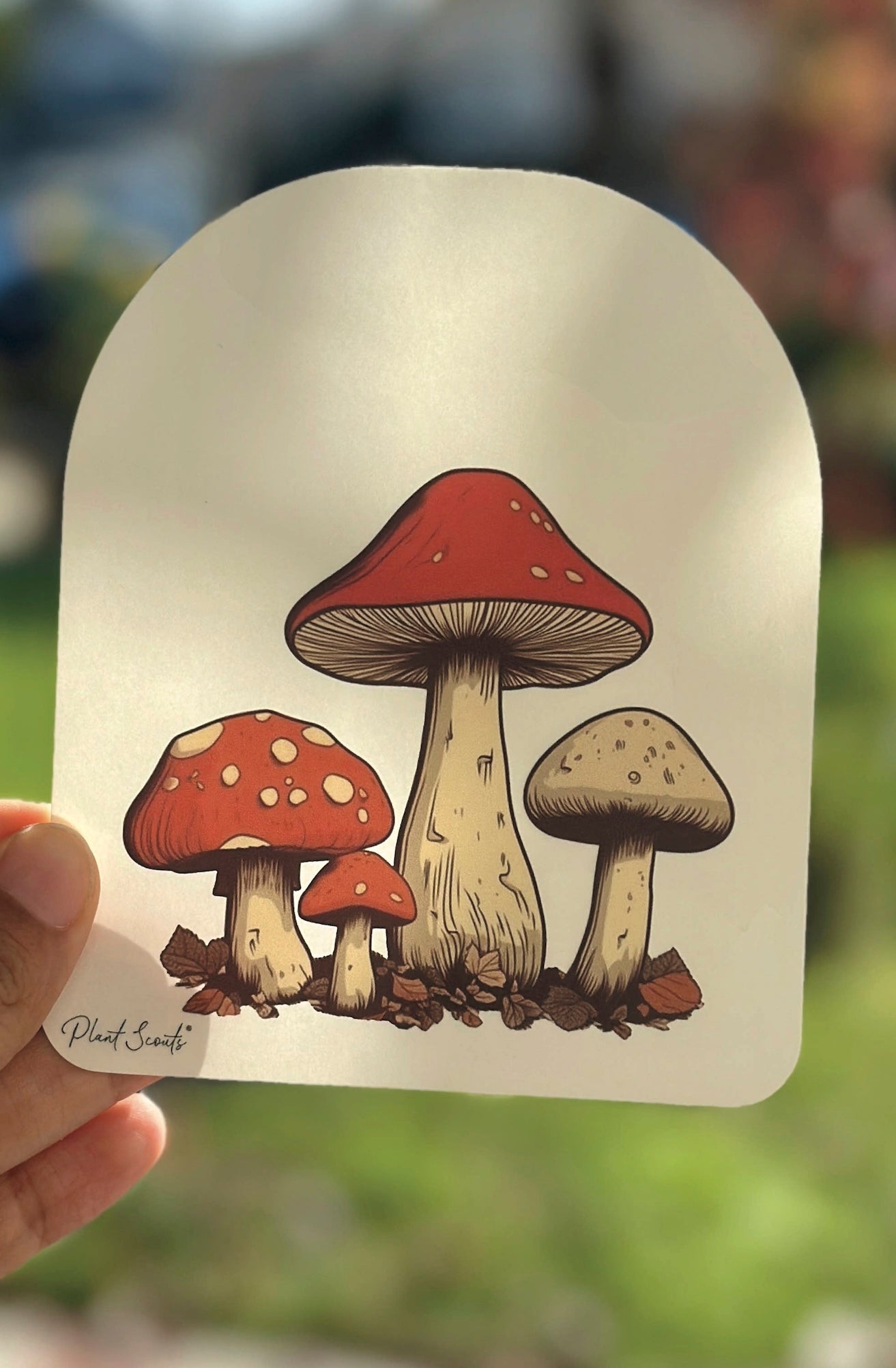 Mushroom Suncatcher Amanita Toadstool Decal Cottagecore - Foxy’s