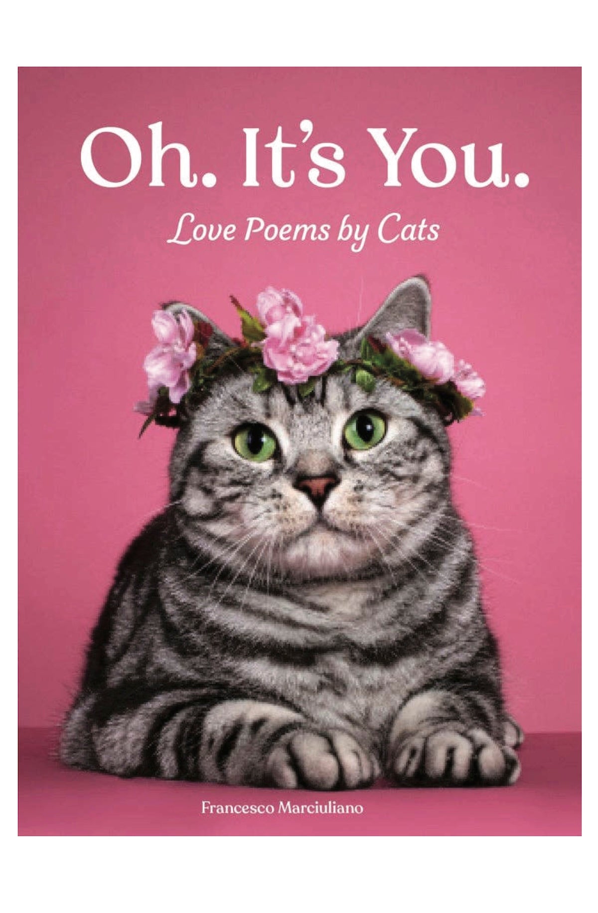 Oh. It's You. Book - Foxy’s