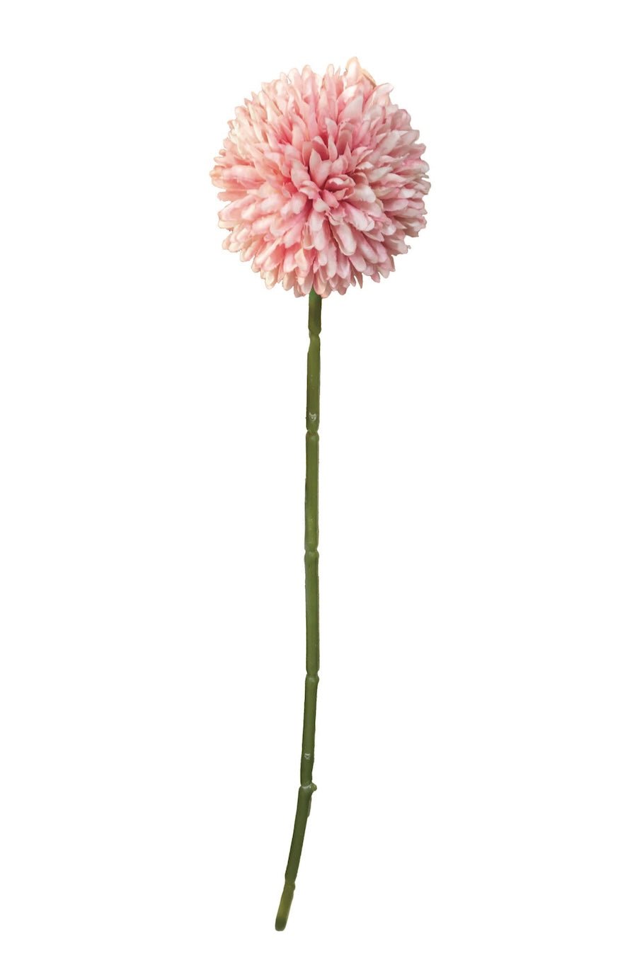 Faux Pompom Stem, Blush - Foxy’s