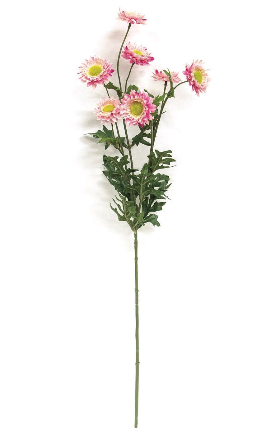 Faux Pink Strawflower Spray - 25" - Foxy’s
