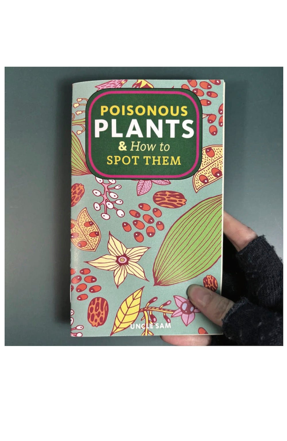 Poisonous Plants & How to Spot Them (Zine) - Foxy’s