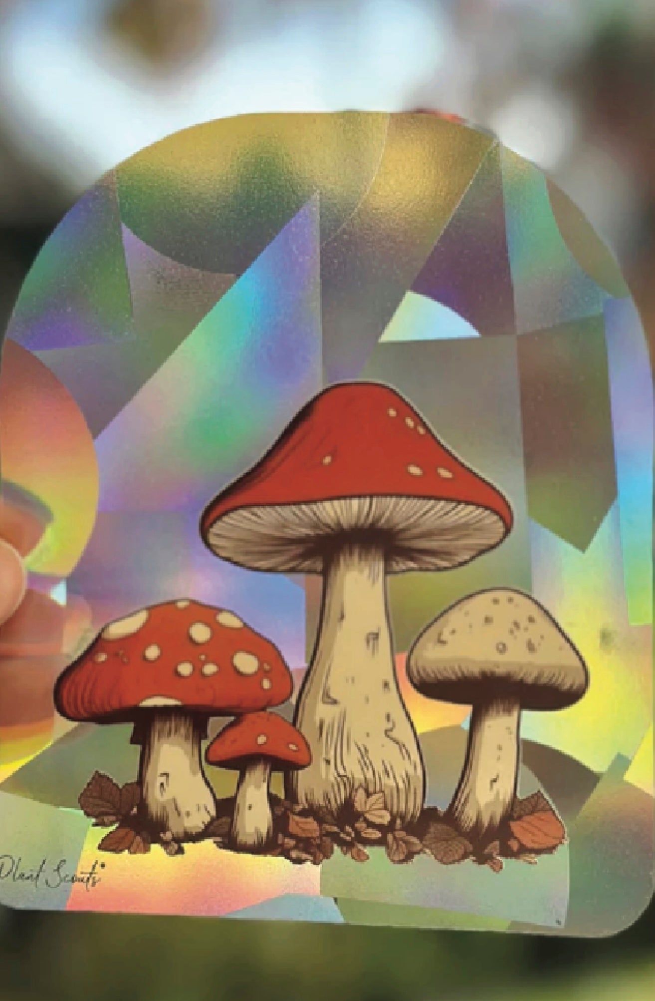 Mushroom Suncatcher Amanita Toadstool Decal Cottagecore - Foxy’s