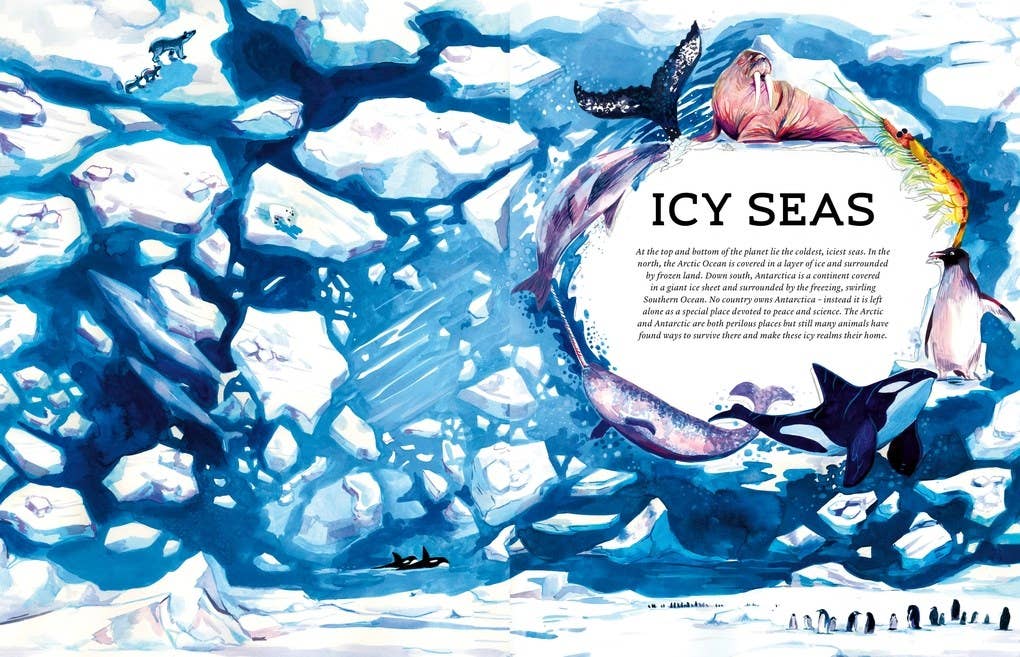 Illustration of icy seas with icebergs, dolphins, and penguins.