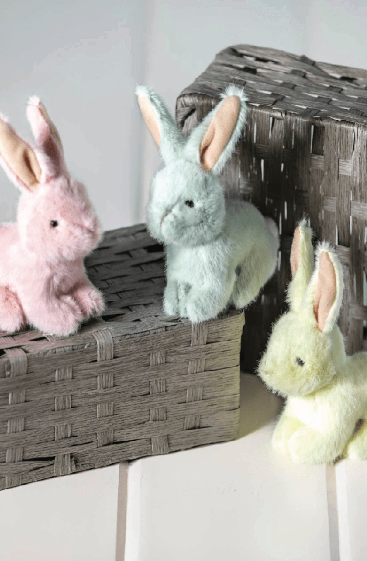 Neat Petites Bunny Assortment - Foxy’s