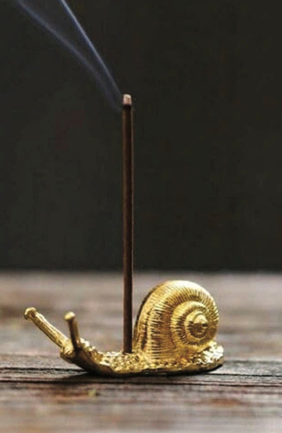 Golden Snail Incense Holder . Vintage Animal Decor - Foxy’s