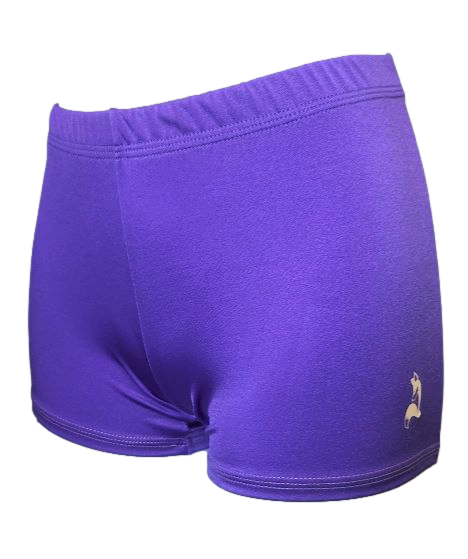 New purple lycra gym short for girls